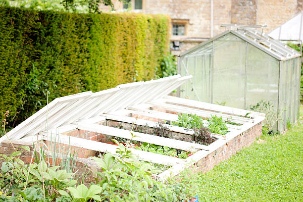 serre jardin entretien plantes plantations