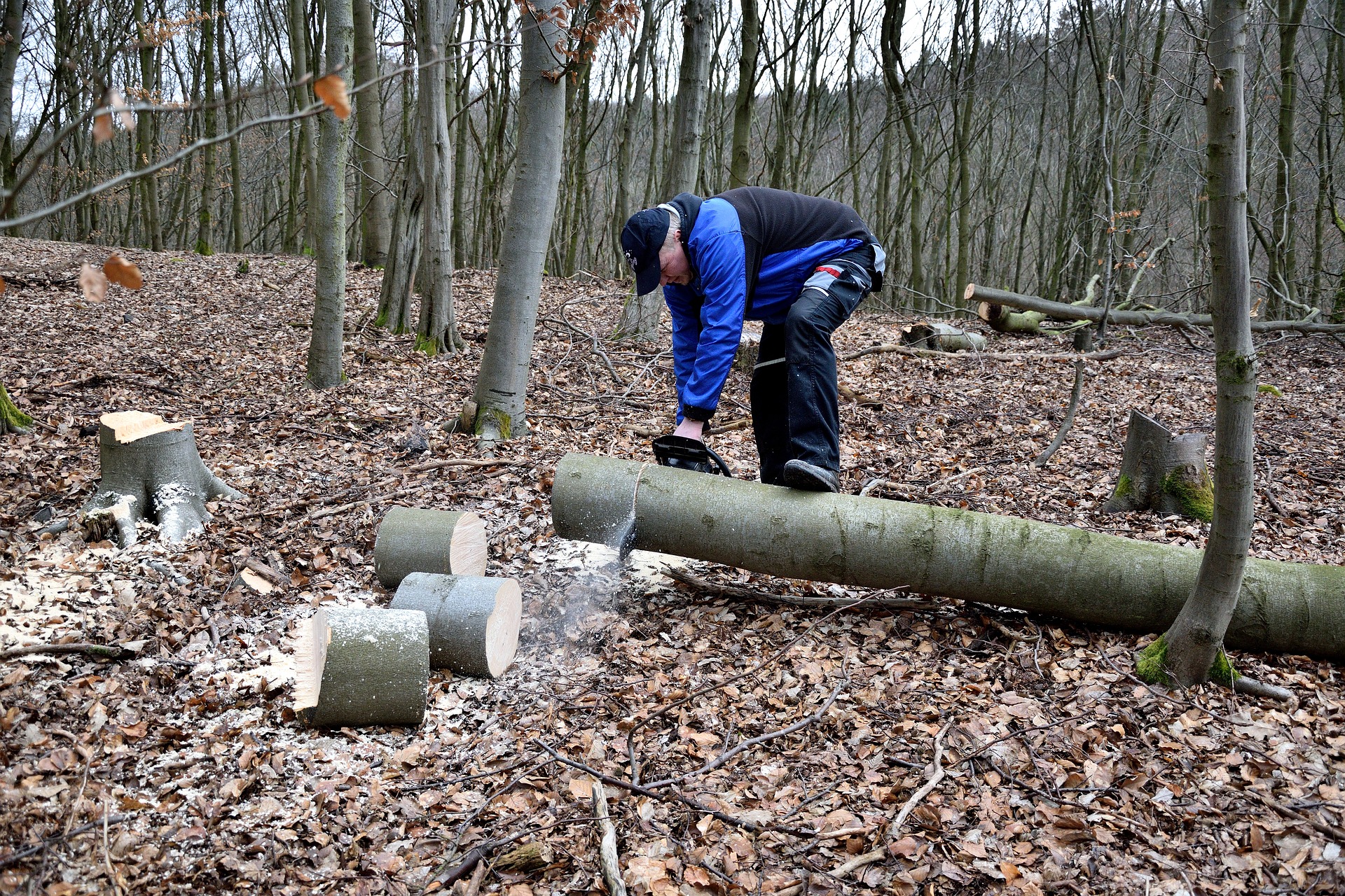 choisir sa tronçonneuse couper du bois