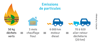 amende feu végétaux information