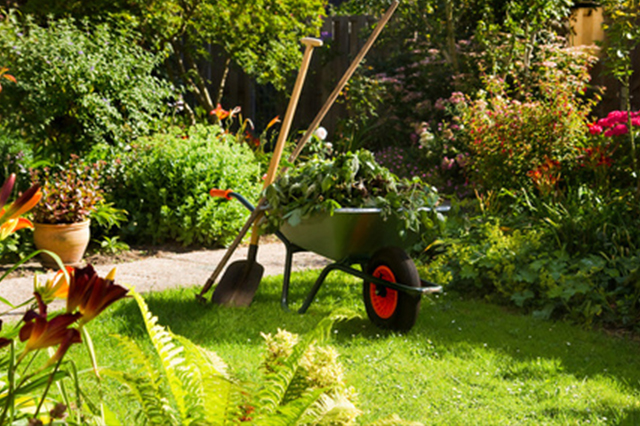 travaux de jardinage au Printemps